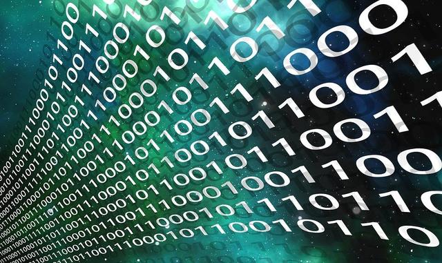 计算机内部运行和处理的数据本质